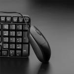 RAPOO N100c Wired Type C Mouse